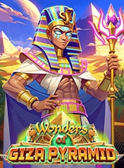 xin55