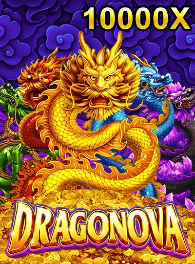 xin55